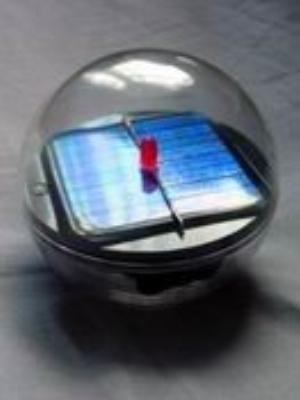 0013amaze.jpg Babies