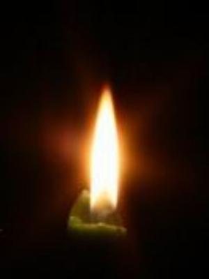 0018amaze.jpg Babies