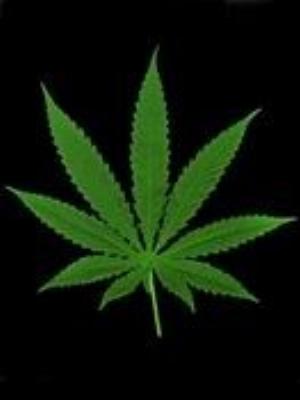 0032amaze.jpg Babies