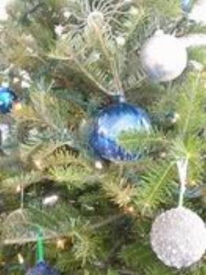 0034amaze.jpg Babies