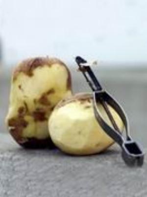 0039amaze.jpg Babies