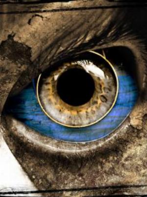 02eyes.jpg Eyes