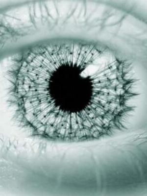 04eyes.jpg Eyes