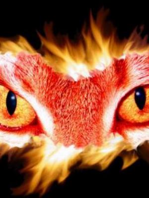 09eyes.jpg Eyes