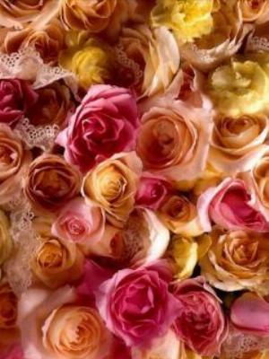 09flowers.jpg Flowers