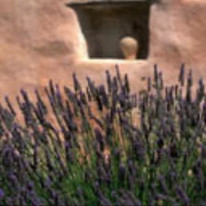 128x128-769.jpg Flowers