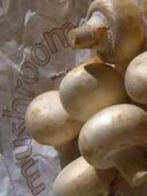 0005Fruits.jpg Fruits