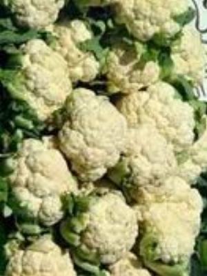 0006Fruits.jpg Fruits