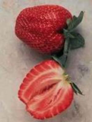 0010Fruits.jpg Fruits