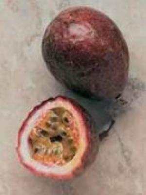 0011Fruits.jpg Fruits