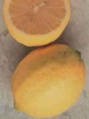 0012Fruits.jpg Fruits