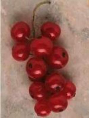 0015Fruits.jpg Fruits