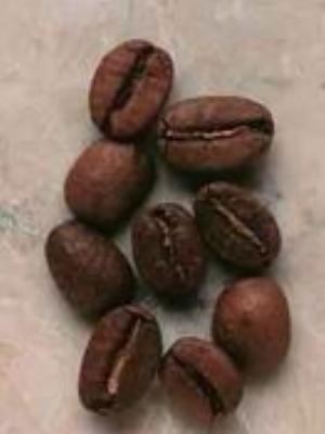 0016Fruits.jpg Fruits