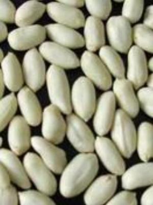 0021Fruits.jpg Fruits