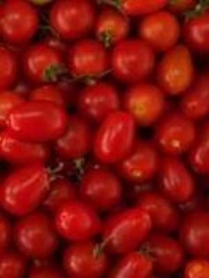 0025Fruits.jpg Fruits