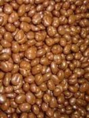 0026Fruits.jpg Fruits