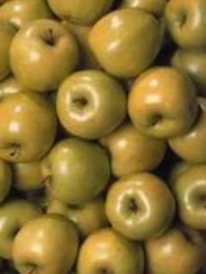 0033Fruits.jpg Fruits