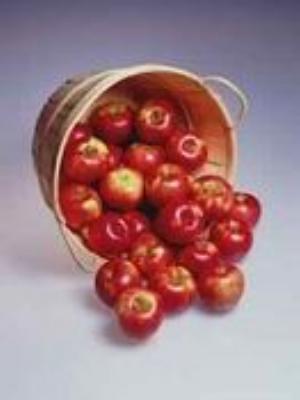 0036Fruits.jpg Fruits
