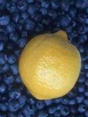 0040Fruits.jpg Fruits