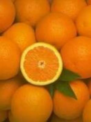 0041Fruits.jpg Fruits