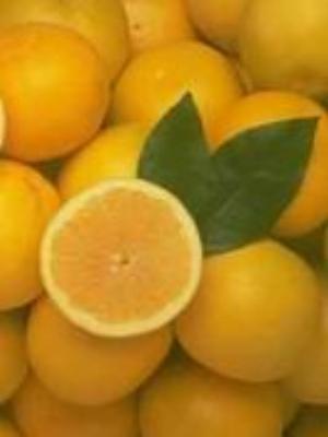 0043Fruits.jpg Fruits