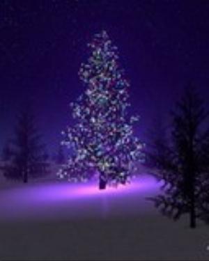 0003xmas.jpg Holiday