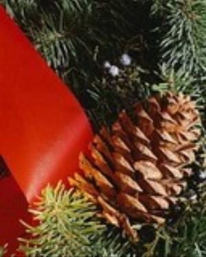 0009xmas.jpg Holiday