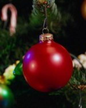 0016xmas.jpg Holiday