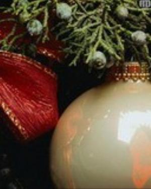 0033xmas.jpg Holiday