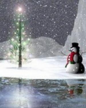 0035xmas.jpg Holiday