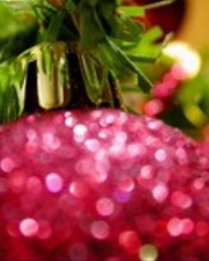 0041xmas.jpg Holiday