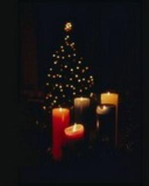 0058xmas.jpg Holiday