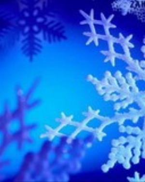 0059xmas.jpg Holiday