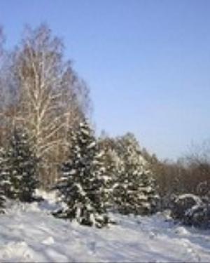 0061xmas.jpg Holiday