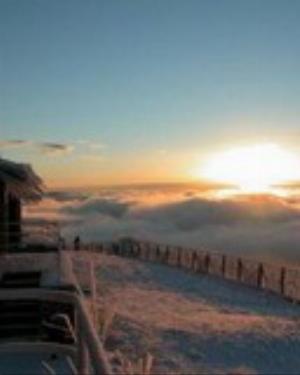 0063xmas.jpg Holiday