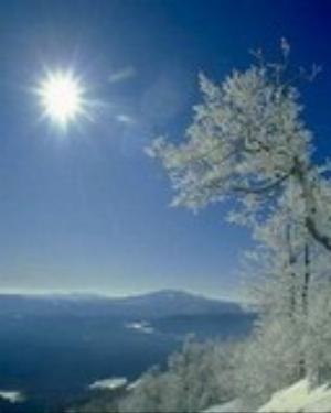 0064xmas.jpg Holiday