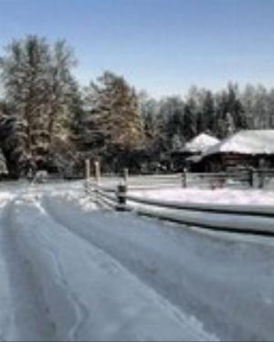 0065xmas.jpg Holiday