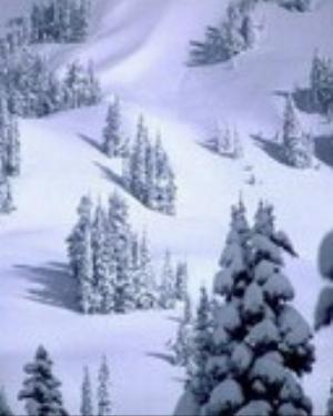 0066xmas.jpg Holiday