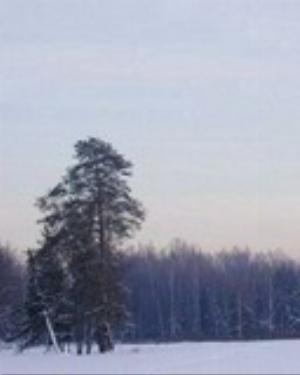 0100xmas.jpg Holiday