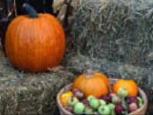 128x96-160.jpg Holiday