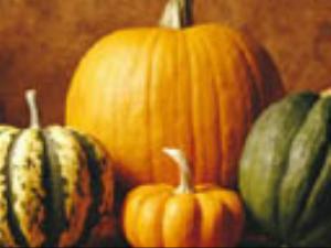 128x96-163.jpg Holiday