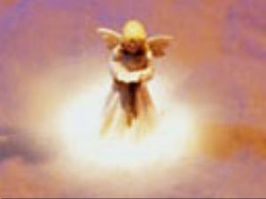 128x96-173.jpg Holiday