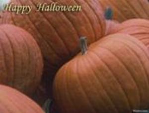 174x132-0016.jpg Holiday