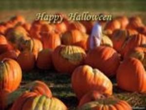 174x132-0033.jpg Holiday