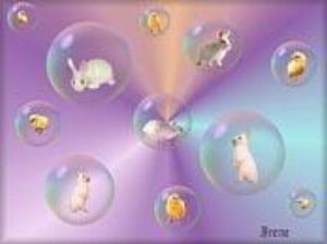 174x132-0039.jpg Holiday