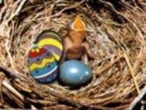 174x132-0074.jpg Holiday