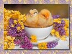 174x132-0131.jpg Holiday