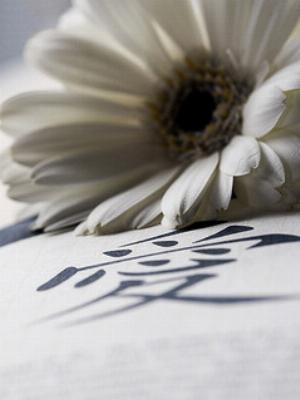 corn-camomile.jpg Love