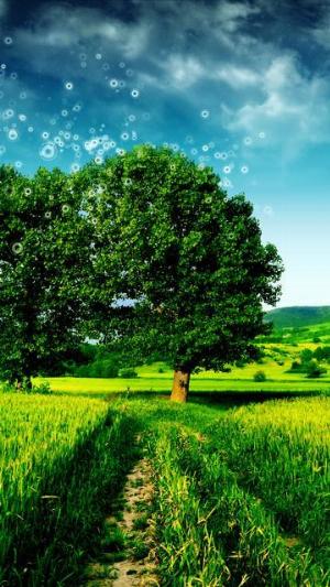 3d_Green_Nature.jpg Mixed