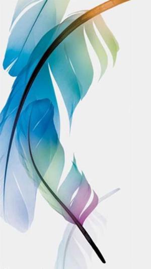 Adobe_Photoshop.jpg Mixed